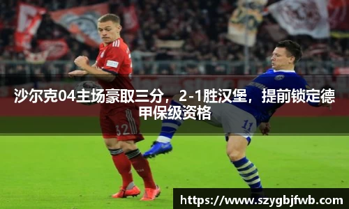 沙尔克04主场豪取三分，2-1胜汉堡，提前锁定德甲保级资格